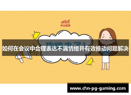 如何在会议中合理表达不满情绪并有效推动问题解决