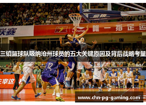 三镇篮球队吸纳沧州球员的五大关键原因及背后战略考量