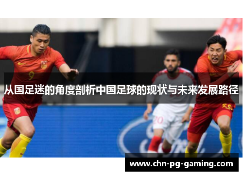 从国足迷的角度剖析中国足球的现状与未来发展路径