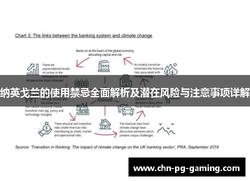 纳英戈兰的使用禁忌全面解析及潜在风险与注意事项详解